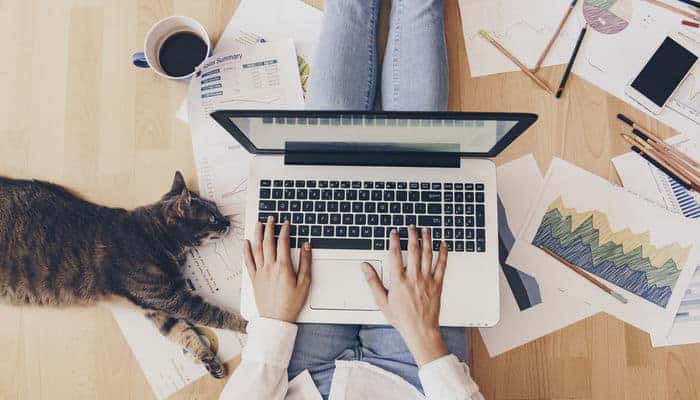 women working at home with cat laying on papers