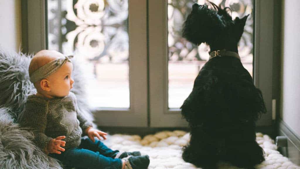 Vicious Productivity Killers