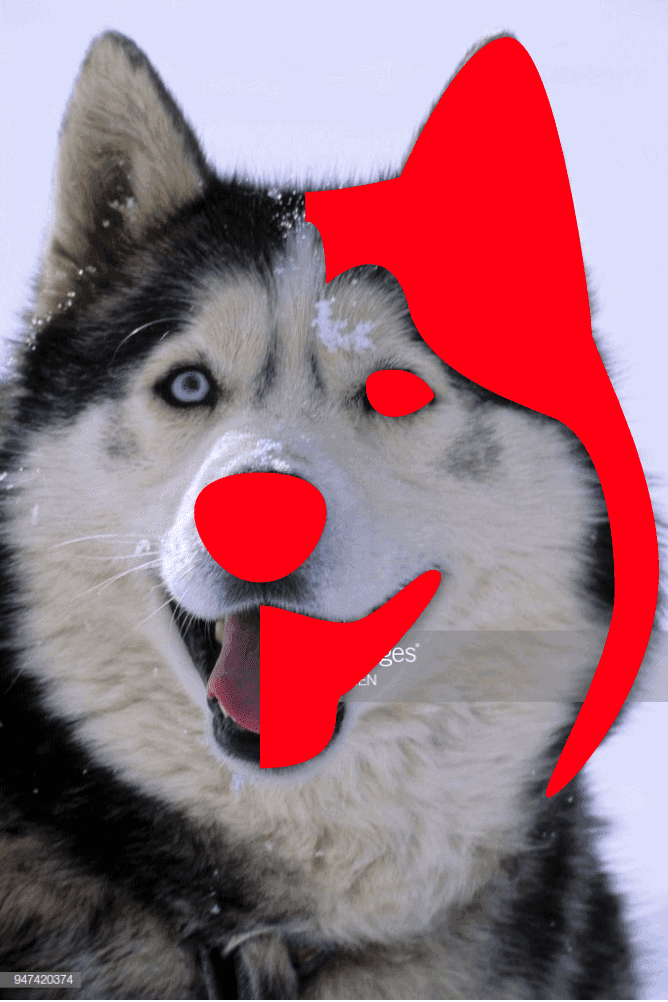 husky refernce vector overlay